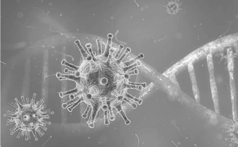 Informació d'interès sobre Coronavirus SARS CoV-2